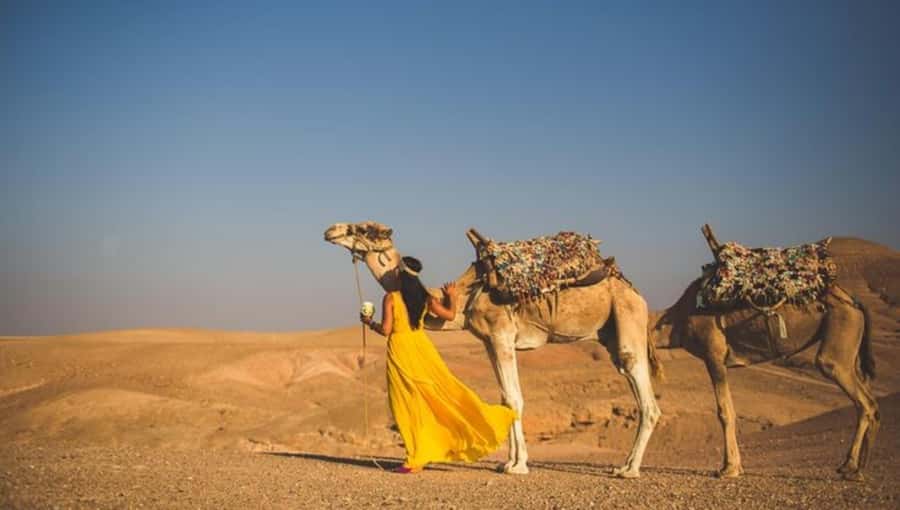 Lunch & Swimming Camel Ride and Quad Biking in Agafay - Marrakesh pickup, transport, and a quick photo stop