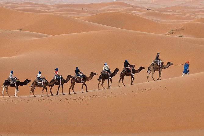 Luxury 2-Days Desert Trip from Fes to.:( fes or marakech) - Pickup in Fez at 8:00am, then straight into the mountains