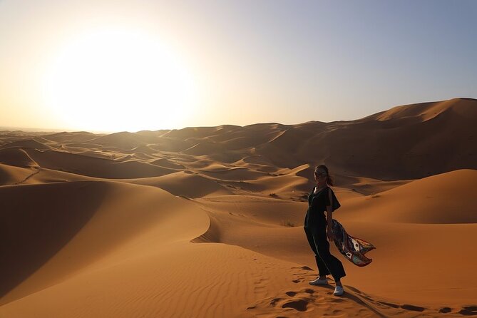Luxury 2-Days Desert Trip from Fes to.:( fes or marakech) - The cedar forest break at Azrou and the Barbary ape chance