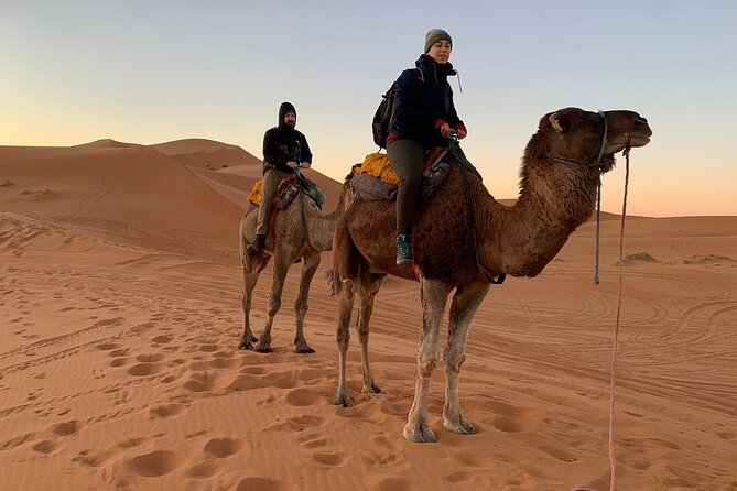 Luxury 2-Days Desert Trip from Fes to.:( fes or marakech) - Camel ride and sandboarding: fun, but plan for limited time