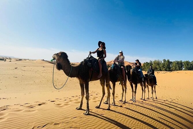 luxury 3 Days 2 Nights Desert Tour from Fez to Marrakesh - Fez to Marrakech in 3 days, and why the pace is actually useful