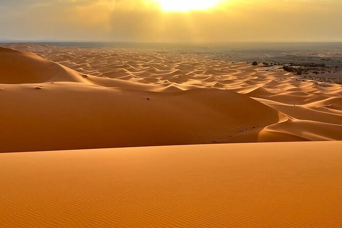 luxury 3 Days 2 Nights Desert Tour from Fez to Marrakesh - Ifrane to Azrou cedar forest: monkeys and that Swiss-style detour