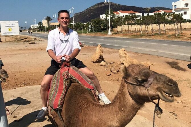 luxury 4 Hour Private Tour of Tangier - Getting Oriented in Tangier: Pickup, WiFi, and a Real Driver
