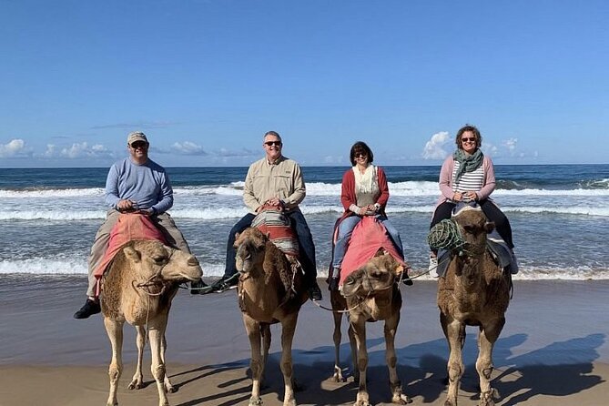 luxury 4 Hour Private Tour of Tangier - Medina of Tangier: The Best Use of Your Last Hour