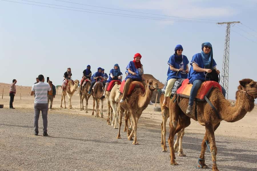 Luxury Agafay Desert : Quad , Camel Ride, Pool & Dinner Show - Pickup and the air-conditioned ride: where the day really starts