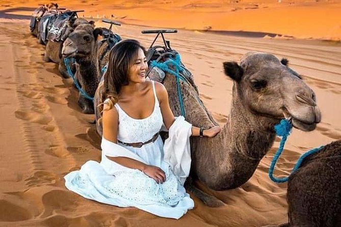Luxury Overnight From Fez To Merzouga - Azrou Barbary Apes and Midelt food, plus a reality check on meals