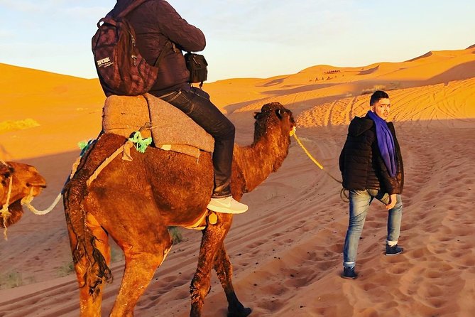 Luxury Overnight Sahara Desert trip fez Back to Fez or Marrakech - Sunrise Camel Ride: The Sahara Without the Crowds