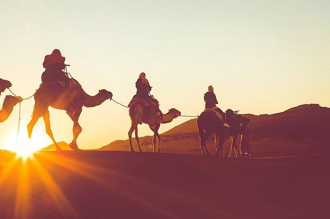 Luxury Overnight Sahara Desert trip fez Back to Fez or Marrakech - Price and Value: What You Get for About $124