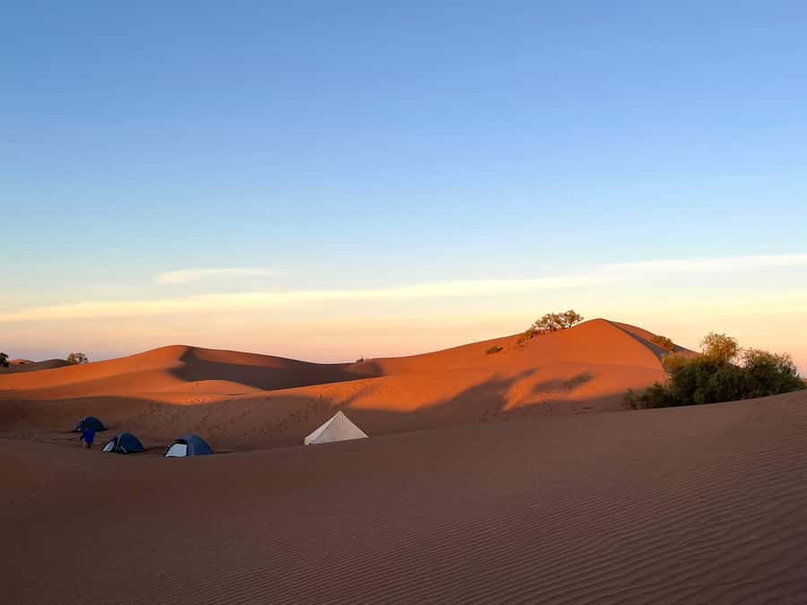 M’Hamid: 3-Day Sahara Trek & 4x4 Continuation to Erg Chigaga - Getting to M’hamid El Ghizlane and your desert team