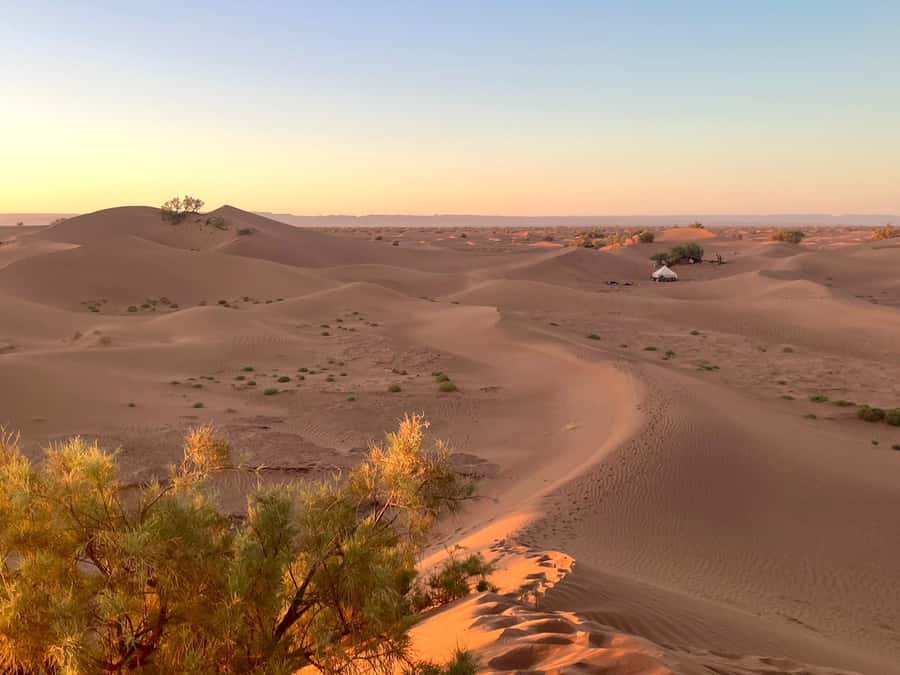 M’Hamid: 3-Day Sahara Trek & 4x4 Continuation to Erg Chigaga - Day 1: M’hamid to Erg Bartam camel trek, lunch under trees, mobile camp