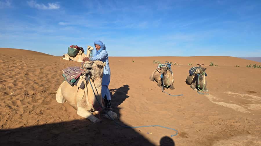 M’Hamid: 3-Day Sahara Trek & 4x4 Continuation to Erg Chigaga - Day 3: Early dunes again, breakfast, and your return by 10:30 a.m.