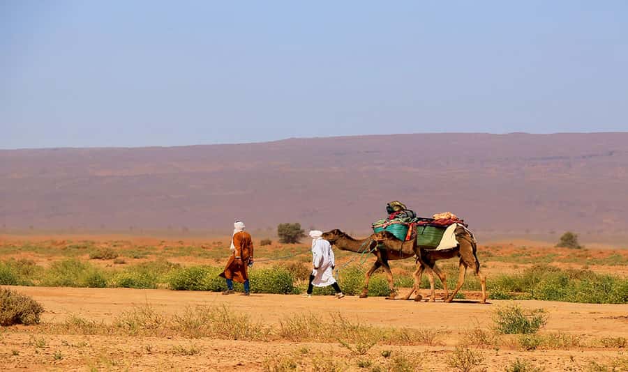 M’Hamid: 3-Day Sahara Trek & 4x4 Continuation to Erg Chigaga - Camps, meals, and the comfort level you should expect