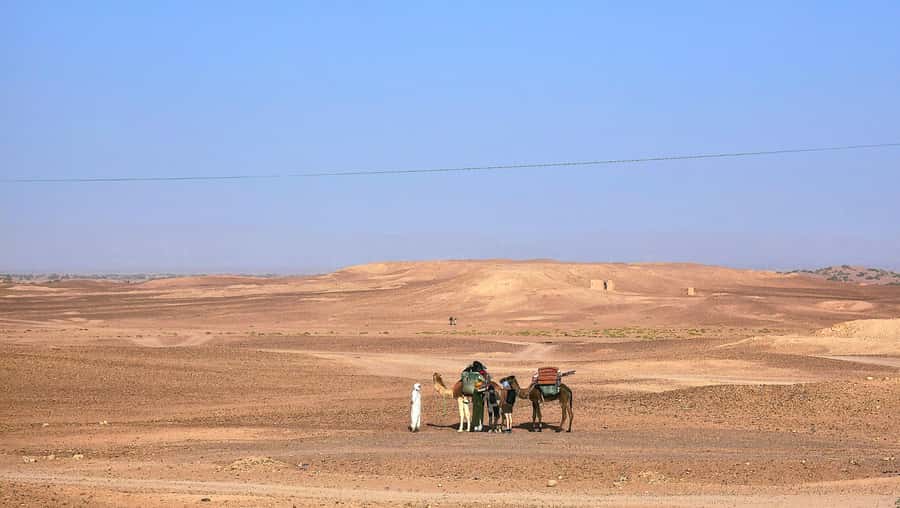 M’Hamid: 3-Day Sahara Trek & 4x4 Continuation to Erg Chigaga - Guides and camel handling, why it feels human not mechanical