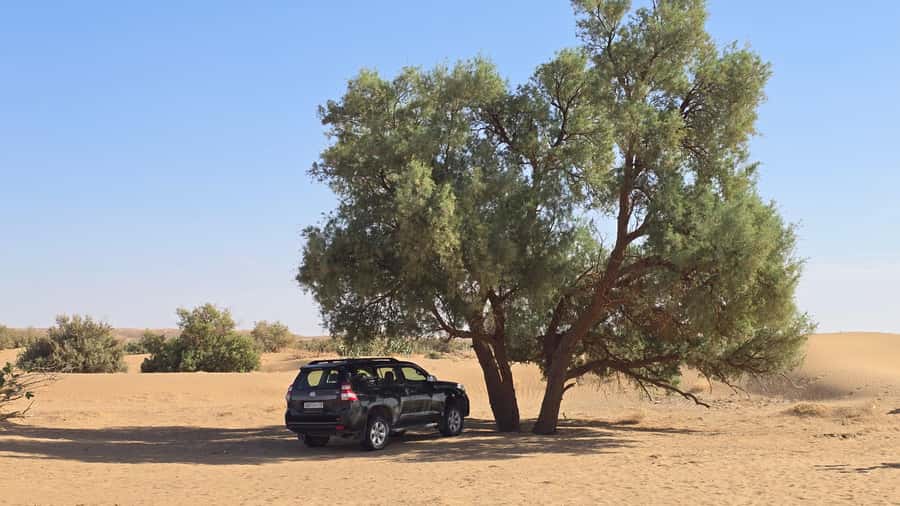 M’Hamid: 3-Day Sahara Trek & 4x4 Continuation to Erg Chigaga - Who this Sahara trek and Erg Chigaga continuation fits best