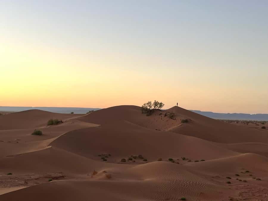 M’Hamid: 3-Day Sahara Trek & 4x4 Continuation to Erg Chigaga - Should you book this M’hamid to Erg Chigaga trek?