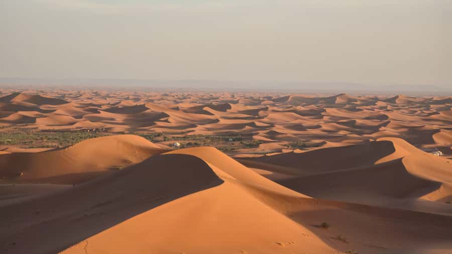 M’Hamid: 3-Day Sahara Trek & 4x4 Continuation to Erg Chigaga - Day 2: Sunrise over dunes, Tamaris shade, 4x4 to Erg Chigaga