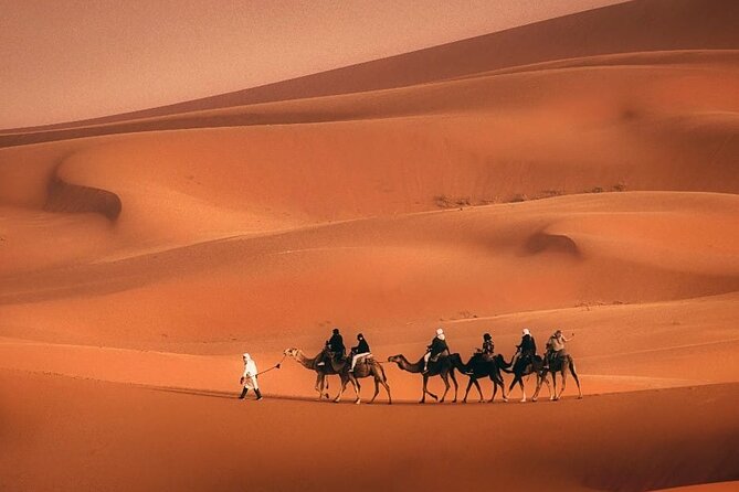 Magical Morocco 8 day - Casablanca to Marrakech, with Youssef leading the way
