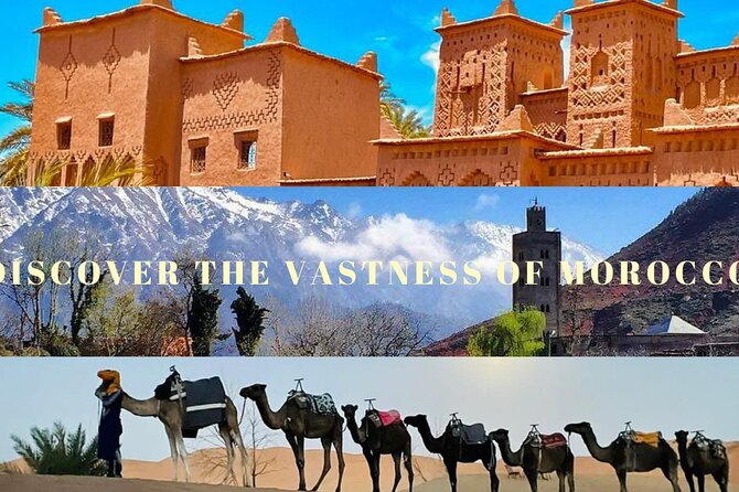 Magical Morocco 8 day - Volubilis mosaics and Meknes lunch: UNESCO plus community time