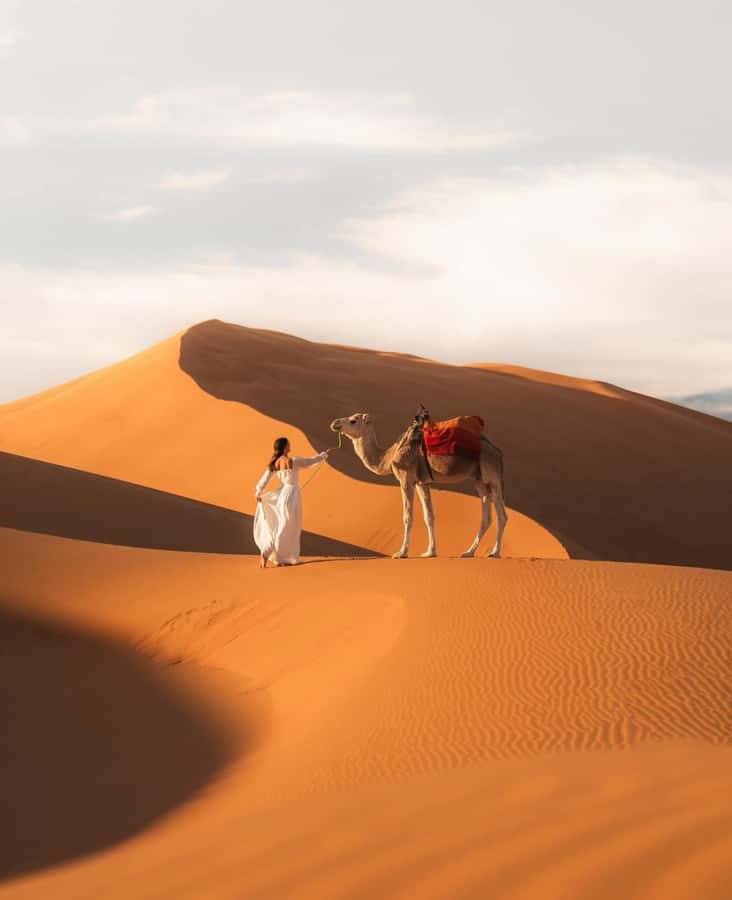 Majestic Desert: 3-Day Luxury Journey from Marrakech to Fes - Marrakech to High Atlas Pass, Skoura Oasis, and a UNESCO World Heritage Moment