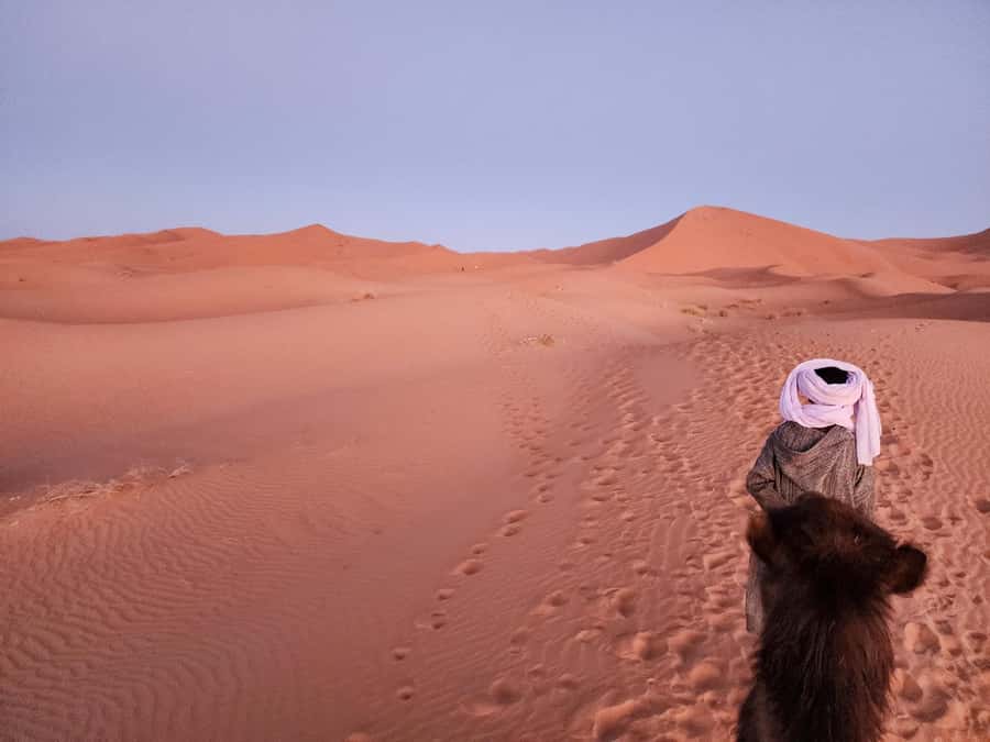 Majestic Desert: 3-Day Luxury Journey from Marrakech to Fes - Red Cliffs in Dades Valley, plus Your First Proper Night’s Comfort