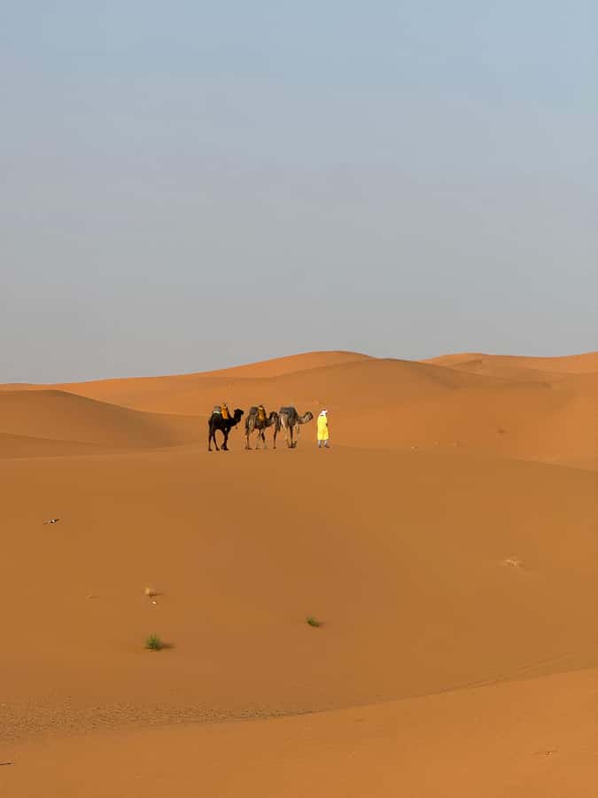 Majestic Desert: 3-Day Luxury Journey from Marrakech to Fes - Practical Tips so You Can Enjoy the Long Drives Without Stress