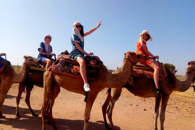 Marical dinner and camel ride at sunset in Desert of Marrakech - Asni Valley women’s argan co-op tasting: bread, oil, and tea