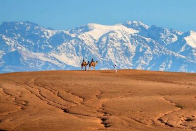 Marical dinner and camel ride at sunset in Desert of Marrakech