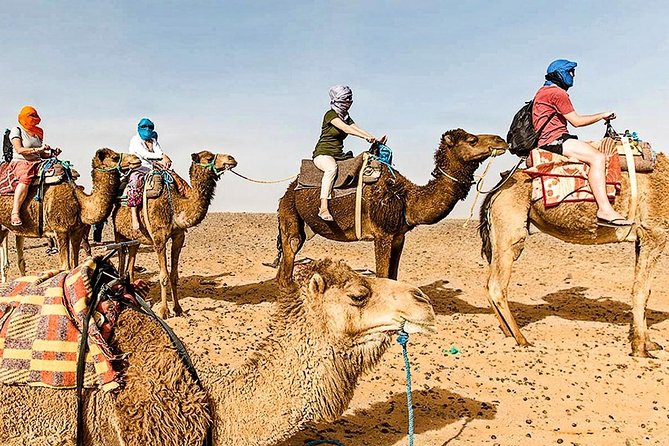 Marrakech: 1 Day Tour-Best of the Atlas Mountains &Three Valleys - Agafay Desert: a short contrast before heading back