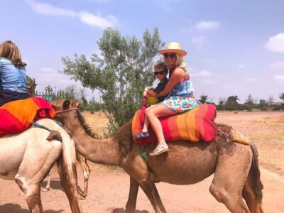 1-Hour Camel Ride Through the Palm Grove