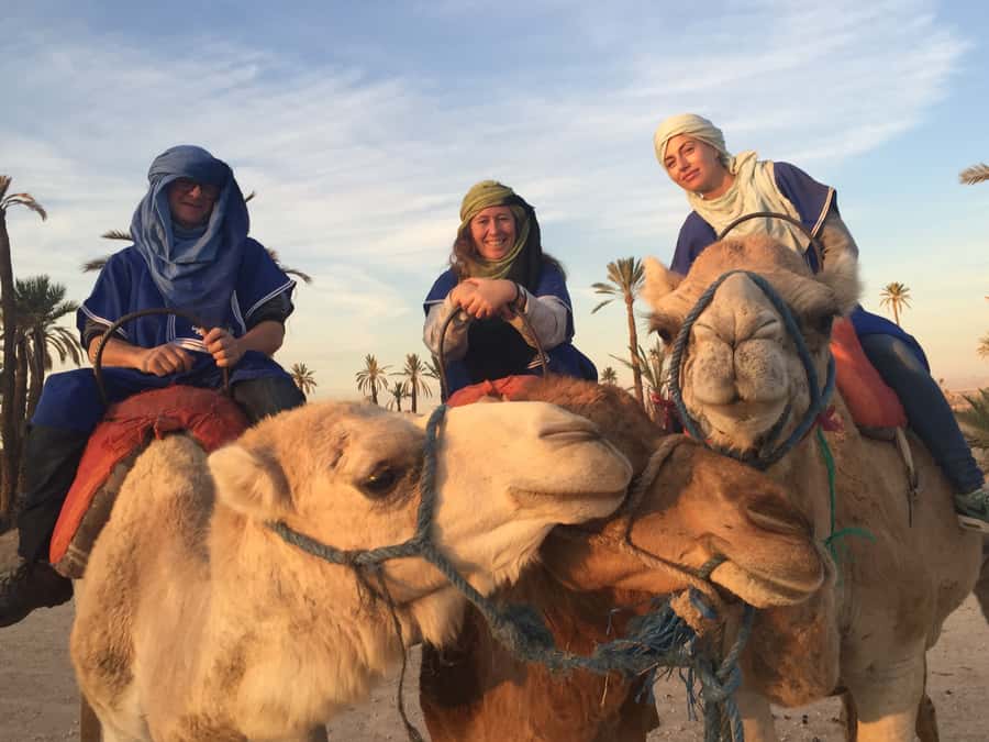 Marrakech : 1-Hour Camel Ride Through the Palm Grove - Price and timing: how $35 really works for a 2-hour tour