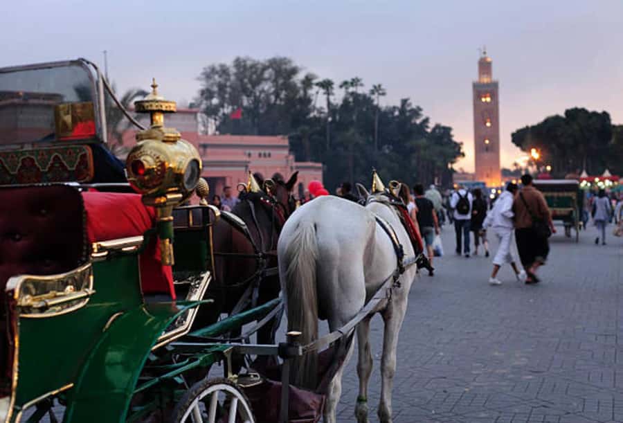 Marrakech: 1-Hour Traditional Horse-Drawn Carriage Tour - Key things I’d focus on before you go