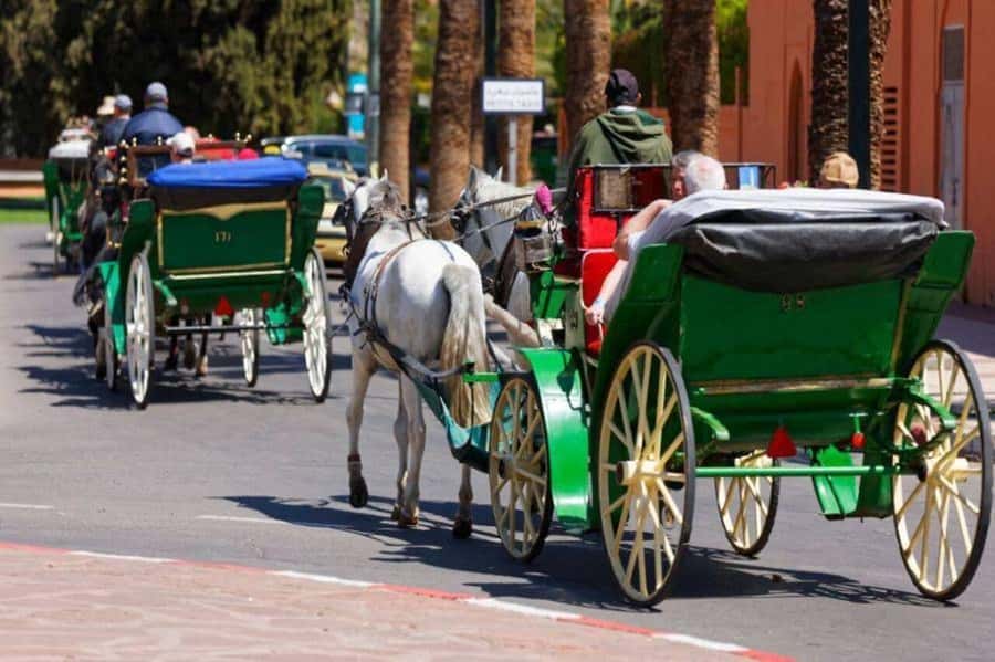 Marrakech: 1-Hour Traditional Horse-Drawn Carriage Tour - How the 1-hour horse carriage tour feels in real life