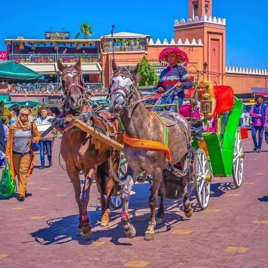 Marrakech: 1-Hour Traditional Horse-Drawn Carriage Tour - Menara Garden: the calm contrast your ticket includes