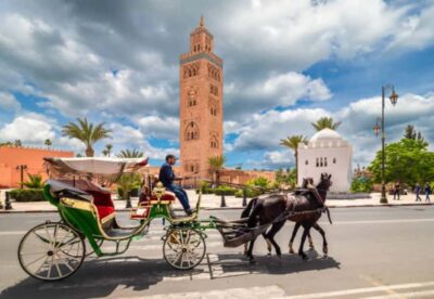 1-Hour Traditional Horse-Drawn Carriage Tour