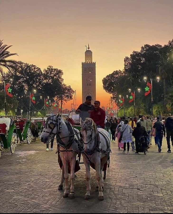 Marrakech: 1-Hour Traditional Horse-Drawn Carriage Tour - What to bring and what timing to consider