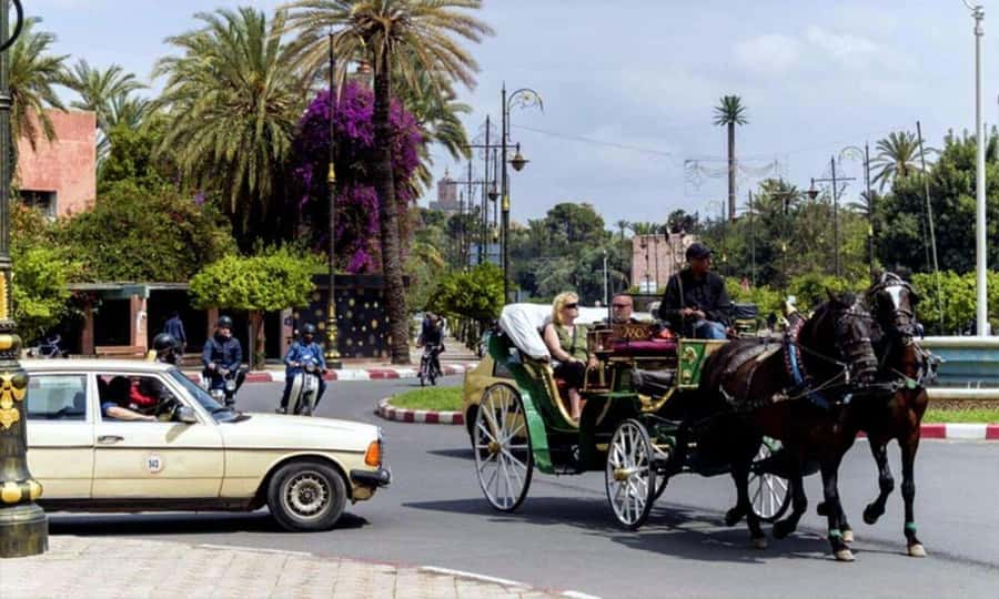 Marrakech: 1-Hour Traditional Horse-Drawn Carriage Tour - Quick packing and pacing tips for comfort