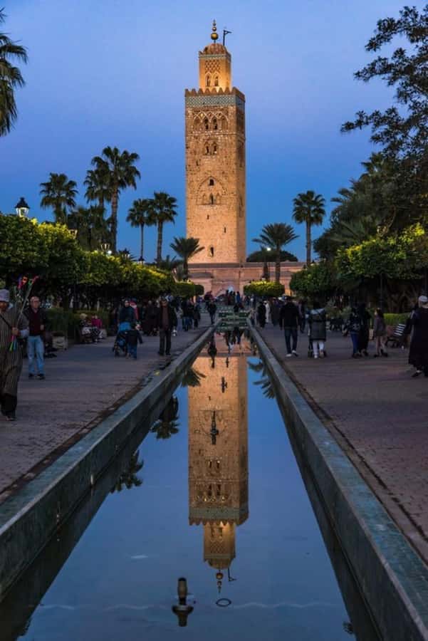 Marrakech: 1-Hour Traditional Horse-Drawn Carriage Tour - Guide Quality and Carriage Care, What You Should Look For