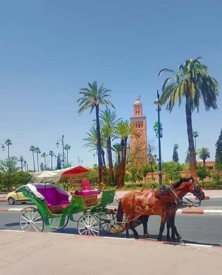 Marrakech: 1-Hour Traditional Horse-Drawn Carriage Tour - Who Should Book This Carriage Tour, and Who Might Skip It