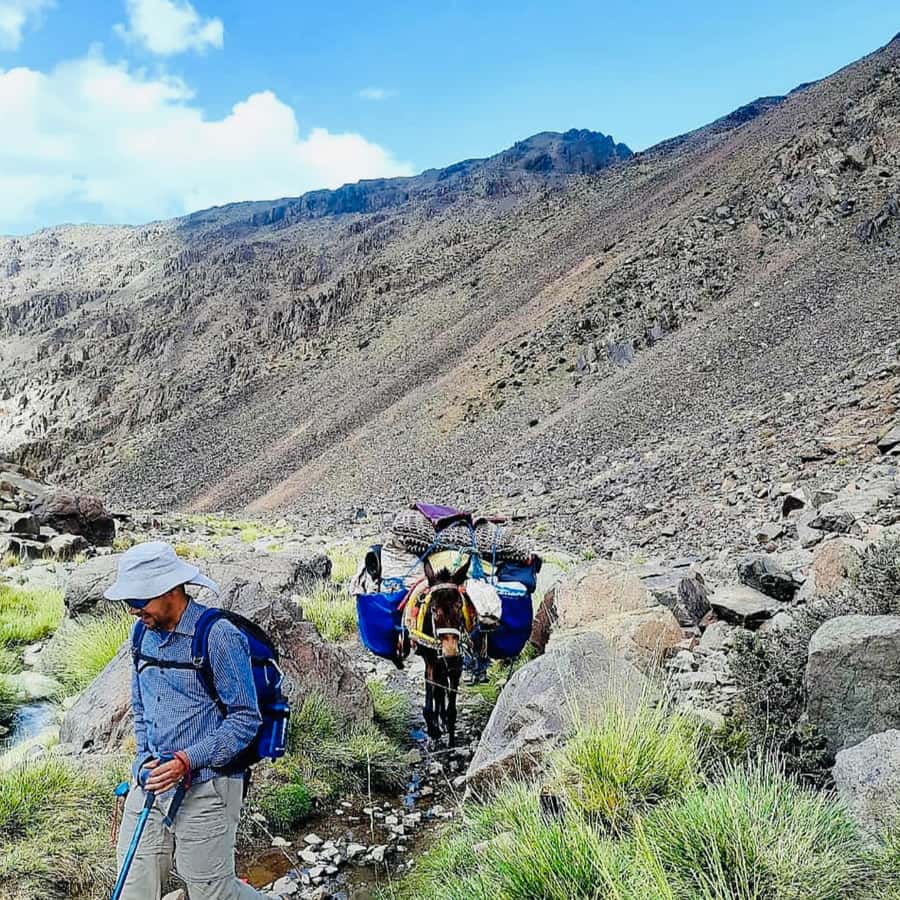 Marrakech: 3-Day Atlas Mountains Berber Villages Trek - Difficulty and Altitude: What Your Body Should Expect