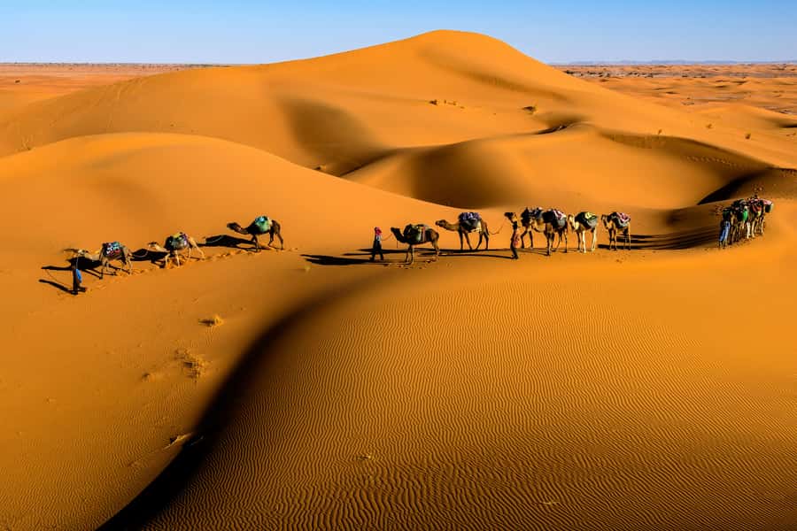 Marrakech: 3-Day Desert Trip to Merzouga with Luxury Camp - The luxury desert camp night, plus the reality check