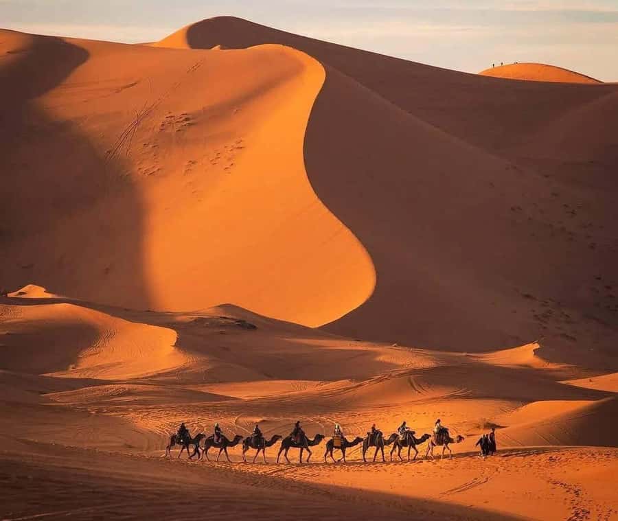 Marrakech: 3-day Exclusive Desert Luxury Tour; Quad & Camels - Bedouin Camp Night: Dinner Under Stars, Henna, and Tam Tam Drums