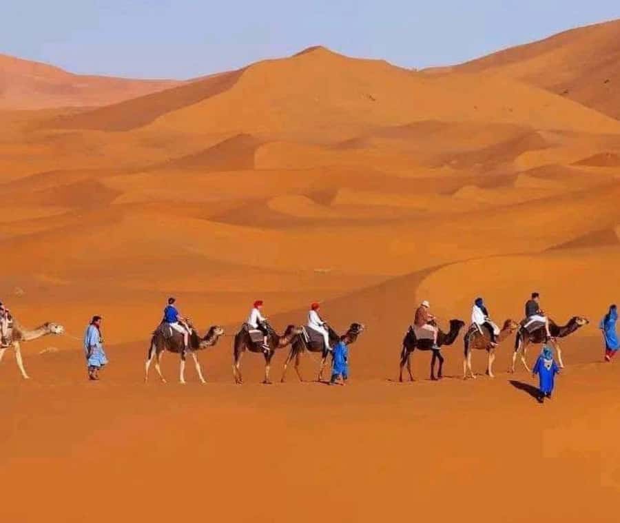 Marrakech: 3-day Exclusive Desert Luxury Tour; Quad & Camels - FAQ