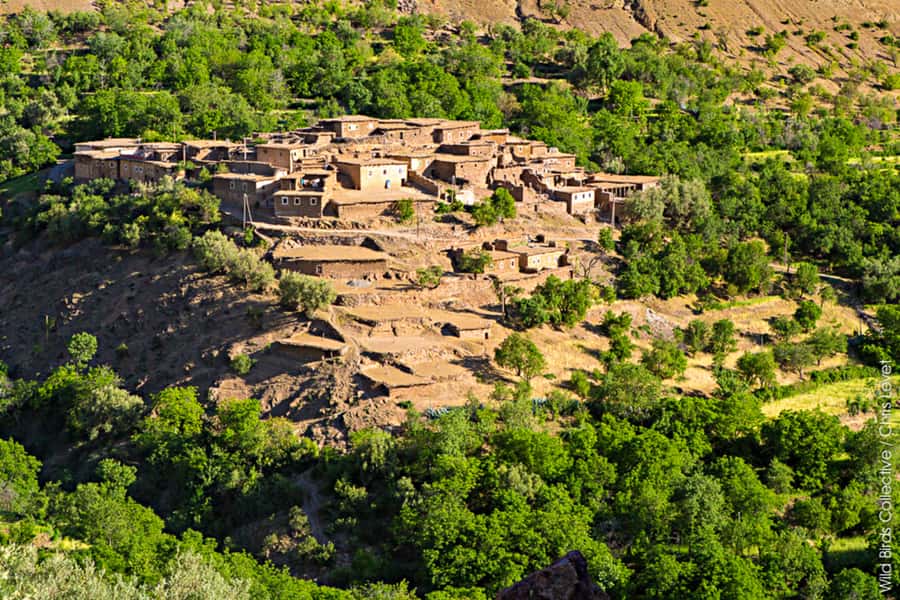 Marrakech: 3-Day High Atlas Mountains and Three Valleys Trek - Key highlights worth getting excited about