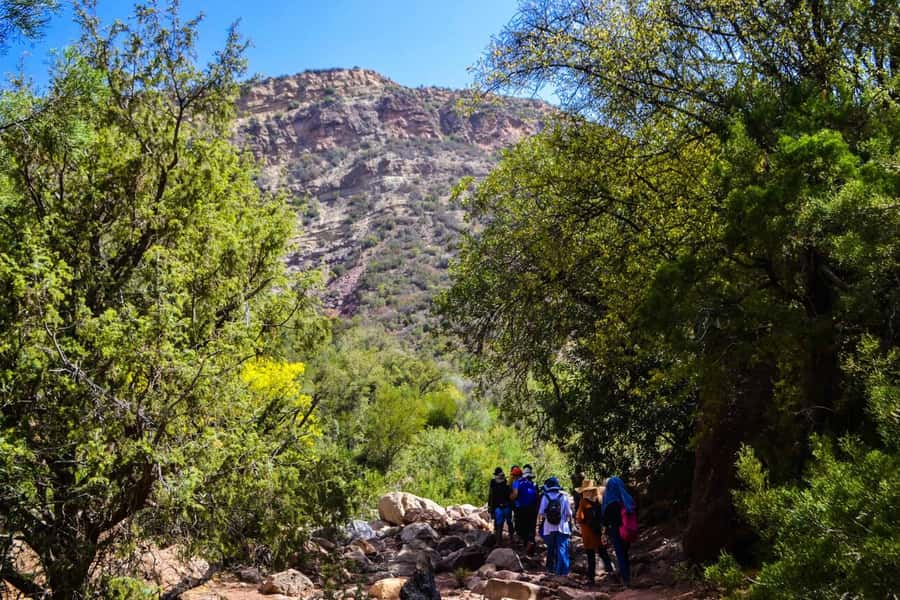 Marrakech: 3-Day High Atlas Mountains and Three Valleys Trek - Pace and trail reality: moderate, but not a stroll