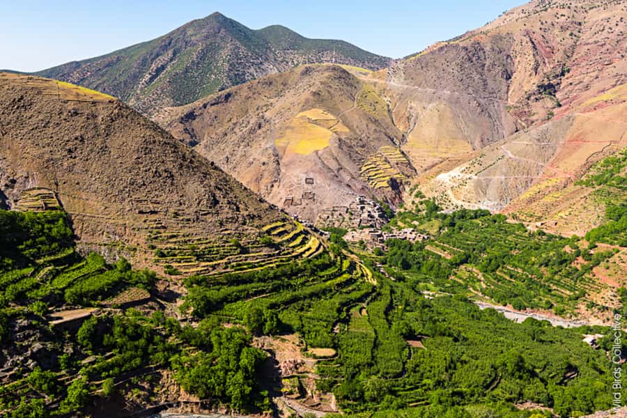 Marrakech: 3-Day High Atlas Mountains and Three Valleys Trek - The guesthouses in the valleys, charming but not hotel-style