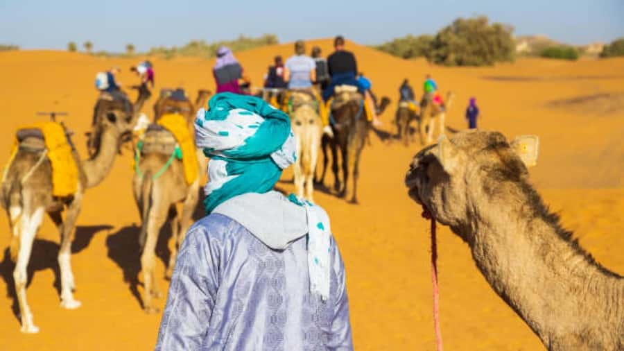 Marrakech: 3-Day Luxurious Desert Tour to Fes via Merzouga. - Day 3: Merzouga Sunrise, Ziz Valley Palms, and Fes Arrival via Azrou