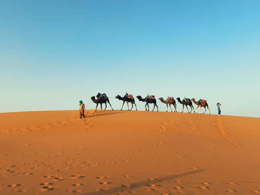 Marrakech: 3-day Merzouga Desert, Camel, Quad & Privat Tent - High Atlas drive and Tizi n’Tichka Pass