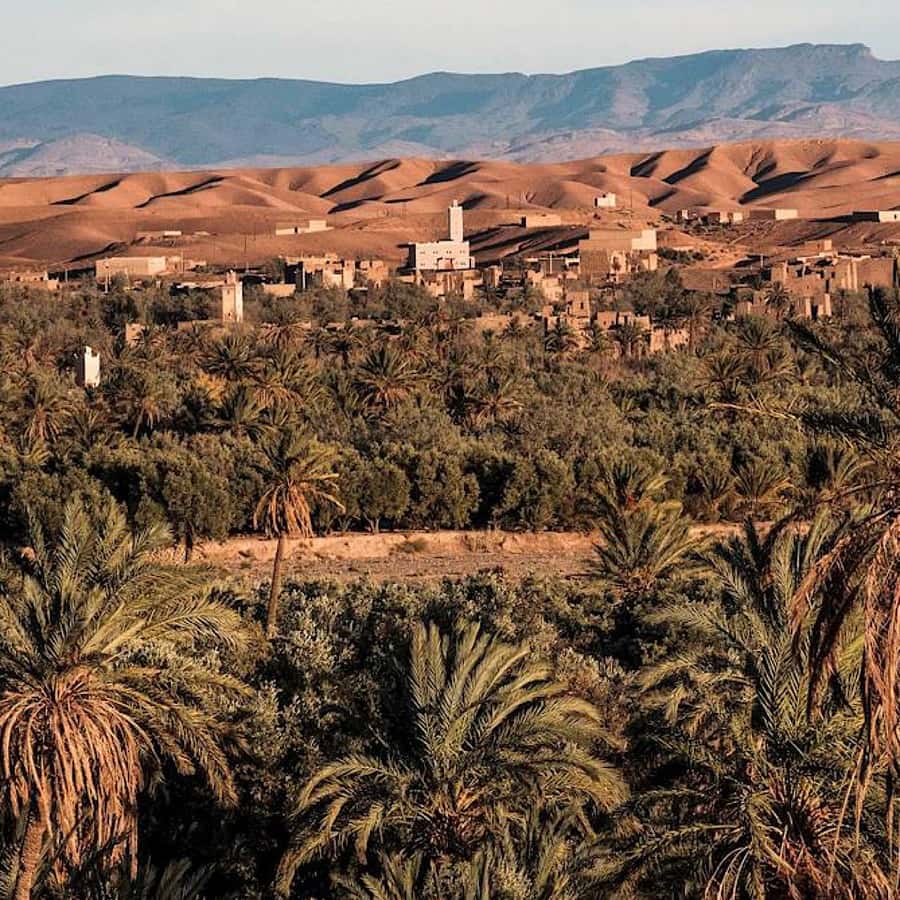 Marrakech: 3-Day Merzouga Desert Tour Camel & Sandboarding - Guides and driving: the difference between a nice trip and a smooth one