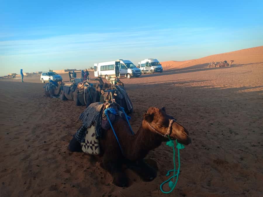 Marrakech: 3-Day Merzouga Sahara Desert Tour with Quad Ride - The bottom line: should you book?