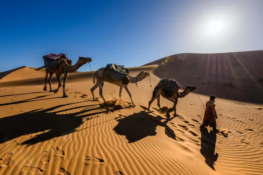 Marrakech: 3-Day Trip to Fez with Sandboarding & Camel Ride - Guides and Group Energy: Why Names Keep Coming Up